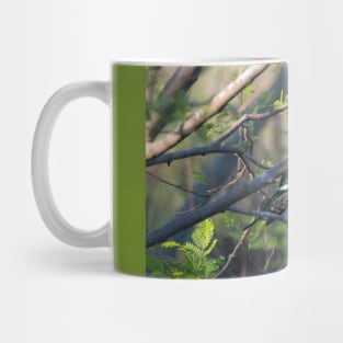 Green Kingfisher Perched in Different Tree Mug